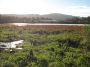 7.27.06 Oaks Bottom 026 